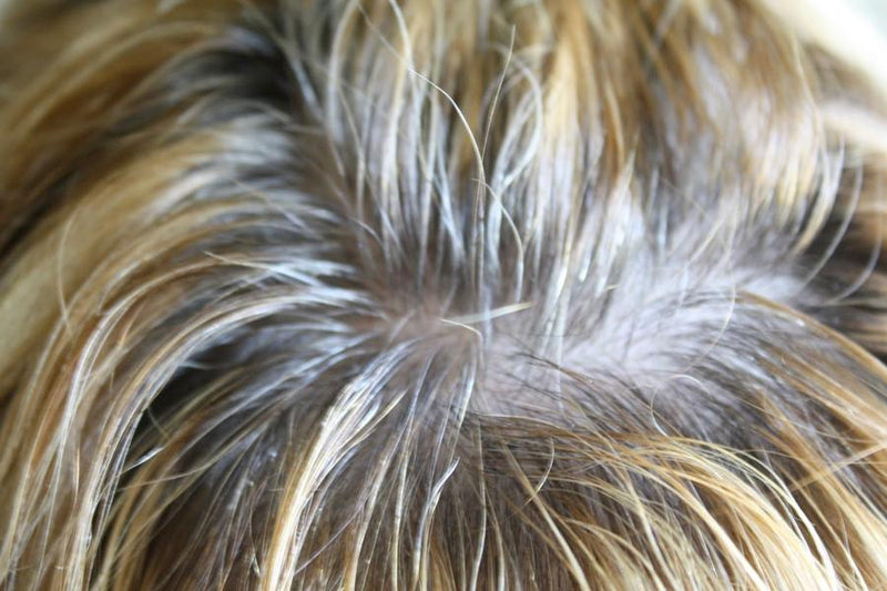 ¿Cómo disimular las canas?