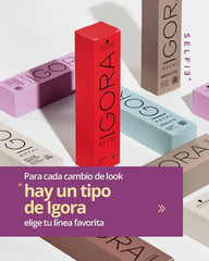 Locion Oxidante 40 Vol. Igora Royal Schwarzkopf 1000ml Oxidantes Y Decolorantes Para Pelo Y Rostro