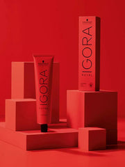X2 Schwarzkopf Igora Vario Blond Polvo Decolorante 450g Decolorante