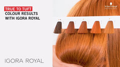 Locion Oxidante 40 Vol. Igora Royal Schwarzkopf 1000ml Oxidantes Y Decolorantes Para Pelo Y Rostro