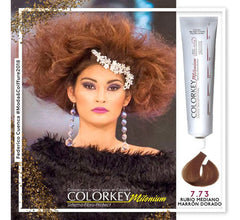 Oxidante Silkey 30 Vol 900ml Profesional Cabello Blanco