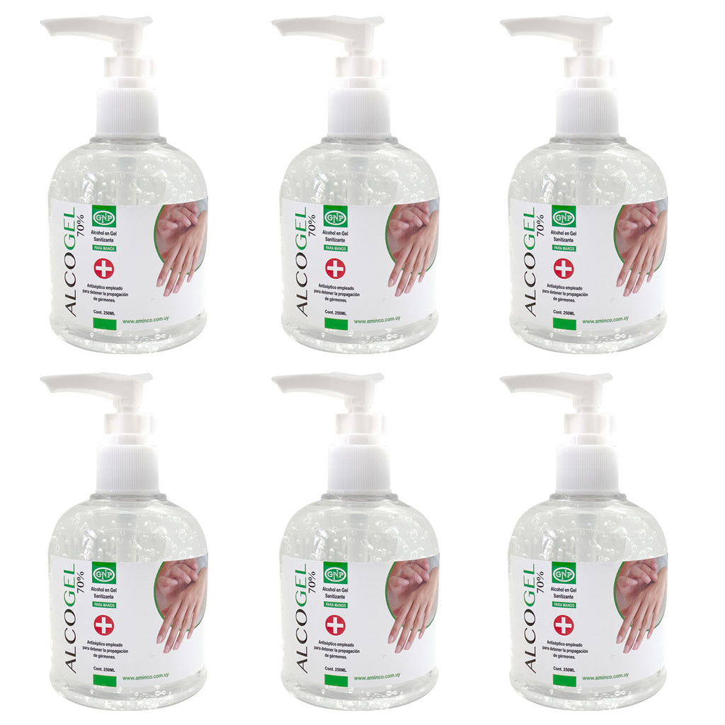 x6 Alcohol En Gel Gnp 250ml en Beauty Supply